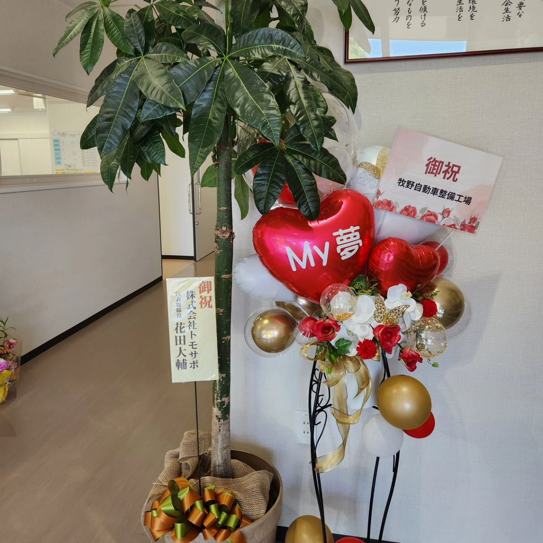 観葉植物、風船